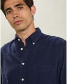 Chemise regular en Velours Milleraies Pitt Pat bleu foncé