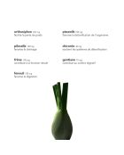 Detox-Kapseln - 60 Kapseln