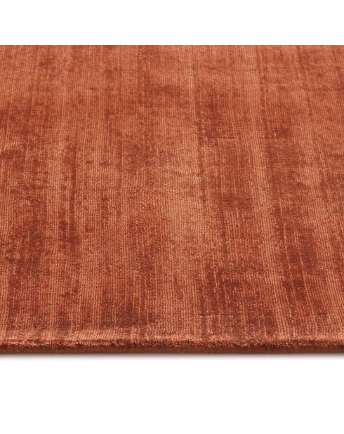 Tapis rectangulaire Nate terracotta - 200x300 cm