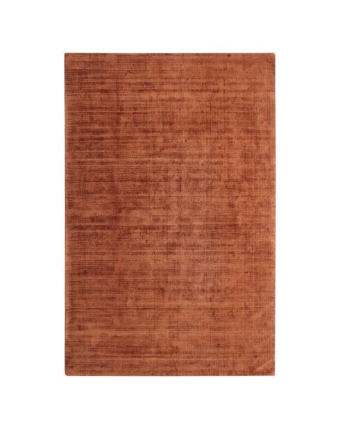 Tapis rectangulaire Nate terracotta - 300x400 cm