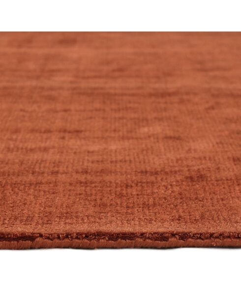 Tapis rectangulaire Nate terracotta - 300x400 cm