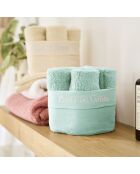 6 servilletas de invitados color menta - 50x30 cm