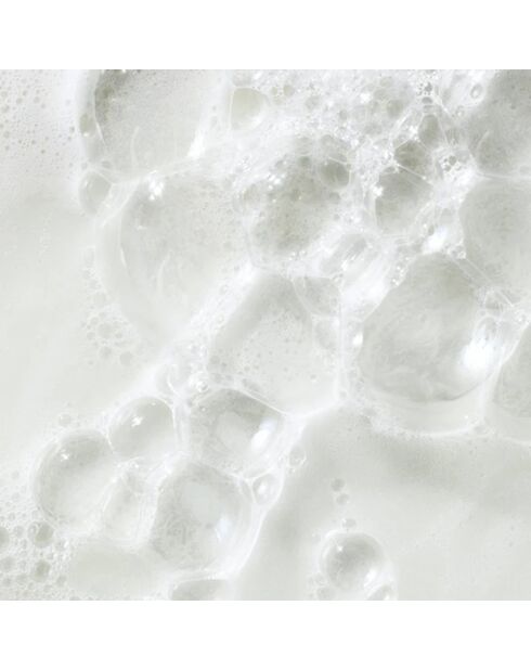 Shampooing Hydratant - 295 ml