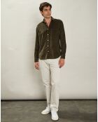 Chemise regular en Velours côtelé Paul Pat forêt