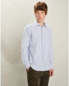Chemise regular Paul grise