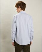Chemise regular Paul grise