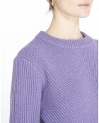 Pull 100% Laine d'Agneau Epinard violet
