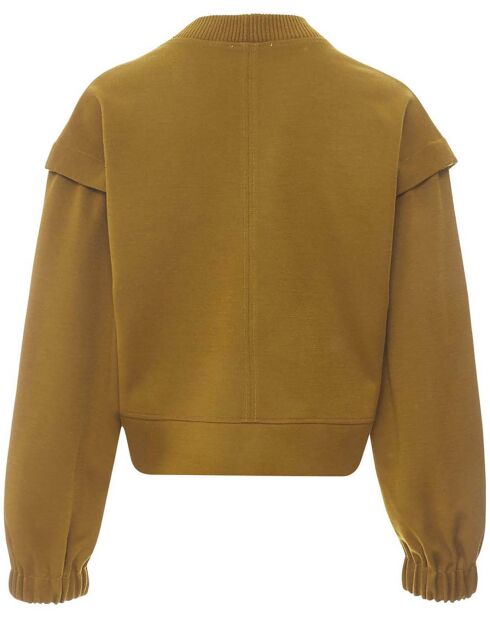 Sweat 100% Laine Turtleneck brun kaki