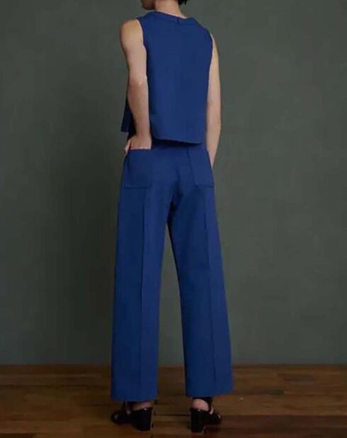 Top Pampa bleu