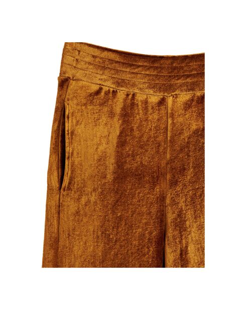 Pantalon Valere Velours camel