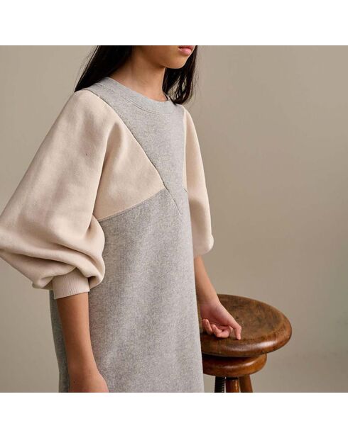 Robe Friedl grise