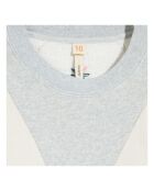 Robe Friedl grise