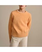 Pull Dweet Angora abricot
