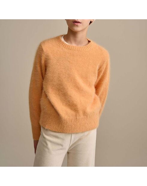 Pull Dweet Angora abricot