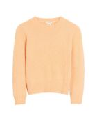 Pull Dweet Angora abricot