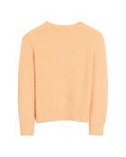 Pull Dweet Angora abricot