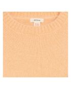 Pull Dweet Angora abricot