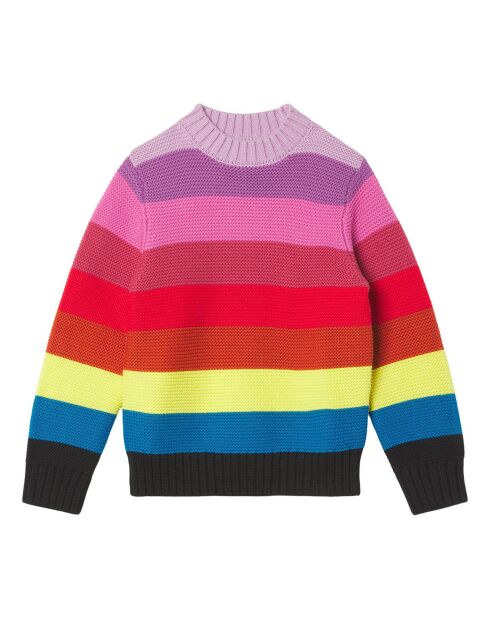 Pull Rayé multicolore
