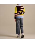 Pull Dwely Angora  multicolore