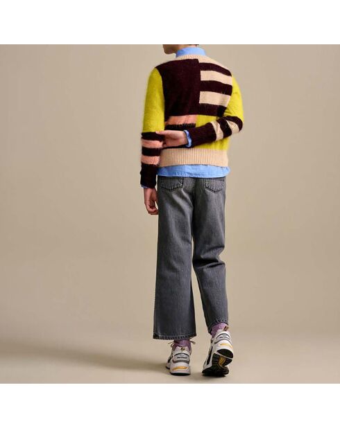 Pull Dwely Angora  multicolore