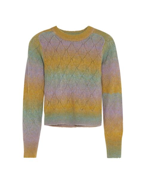 Pull Gatin Multicolore pastel