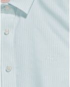 Chemise Oxford Block aquamarine