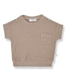 T-shirt Daniele Mousseline camel