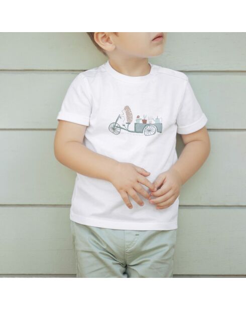 T-Shirt Jardin Secret banc/vert