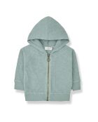 Sweat Manuele en Coton Flammé bleu vert