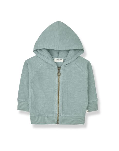 Sweat Manuele en Coton Flammé bleu vert