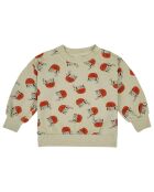 Sweat en Coton Bio Ermites vert d'eau/orange