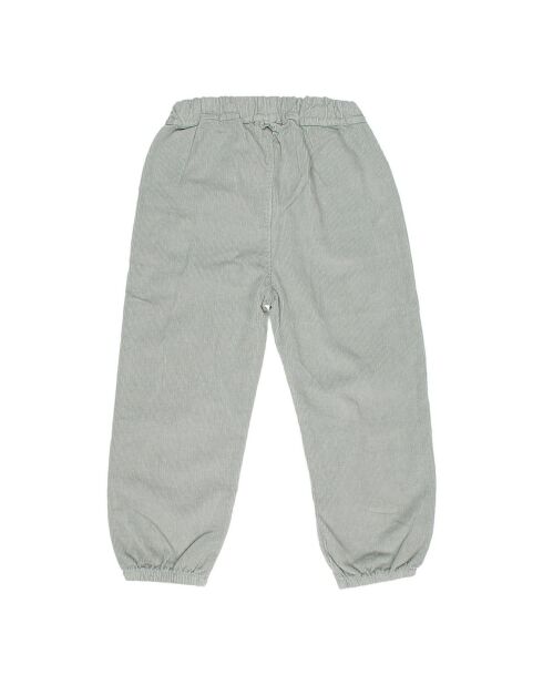 Pantalon en Velours Milleraies Poches bleu gris