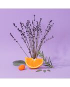 Crème mains Lavande Aromatique  - 30ml