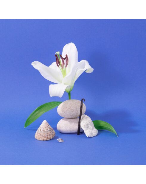 Crème mains Méditerrannéee   - 30ml