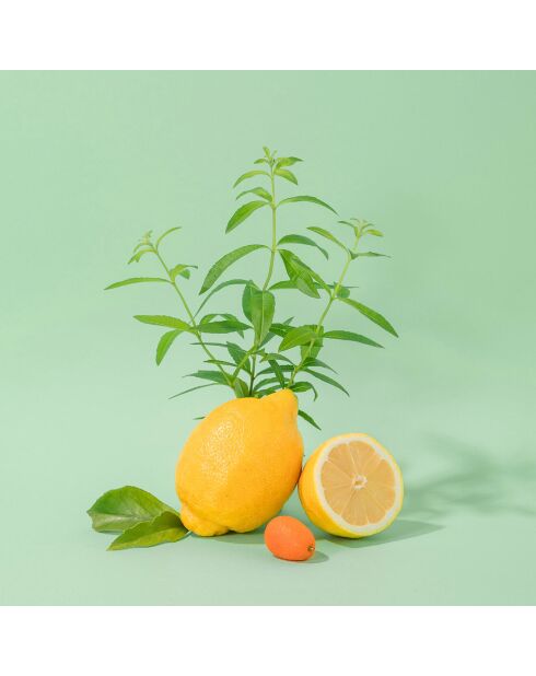 Crème mains Verveine Fraîche   - 30ml