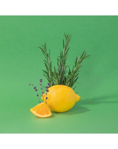 Vitamine hand- en lichaamscrème met rozemarijn - 300 ml