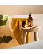 Anise Lavender Marseille vloeibare zeep - 495 ml