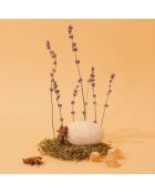 Anise Lavender Marseille vloeibare zeep - 300 ml