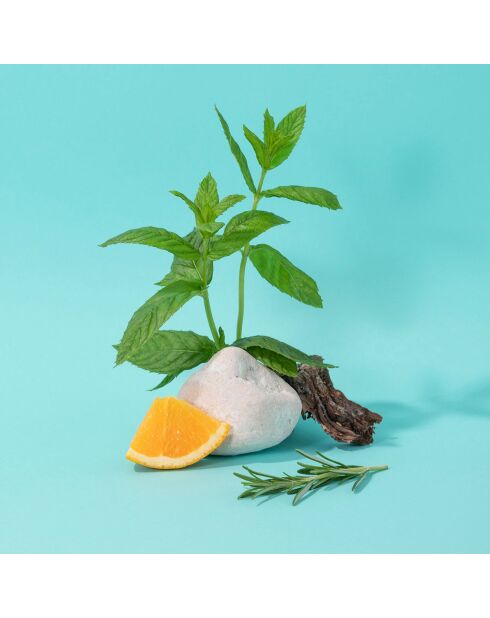 Marseille Flüssigseife, Nachfüllpackung Mint Basil, 1 l