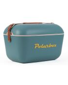 Borsa termica marine/senape 12L