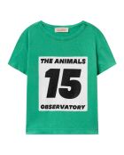T-Shirt Rooster vert
