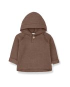 Sweat à Capuche Matière Recyclée Romeo marron
