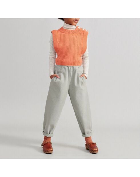 Pantalon Denim Coton Retro sauge