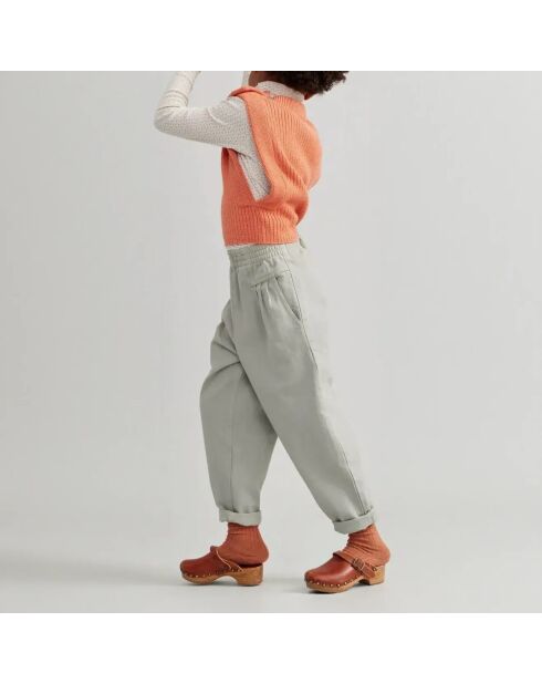 Pantalon Denim Coton Retro sauge