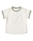 T-Shirt Dreamer sauge/blanc