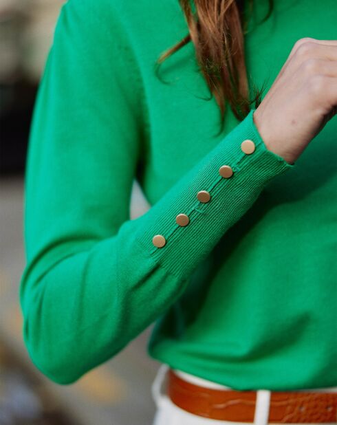Pull Beatrice vert