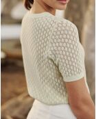 Pull manches courtes Millie vert amande