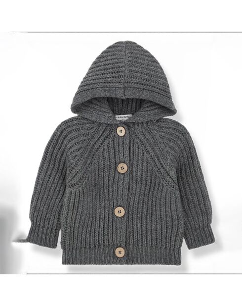 Grauer Cardigan mit Kapuze aus 100% Wolle Aniol