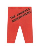 Legging Penguin rouge