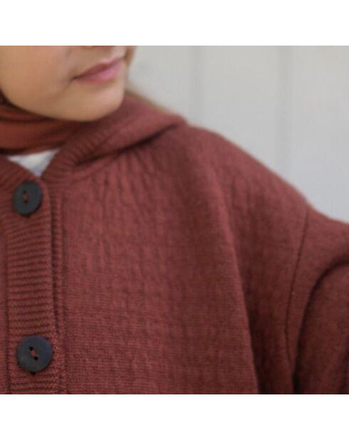 Gilet 100% Laine Mérinos à Capuche Elfen rouille